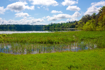 Lake at MaClay Gardens State Park in Tallahassee, Florida