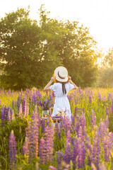 Golden hour, sunset, summer. Beautiful happy young woman on meadow arranging table for outdoor event, gathering wildflowers. Wedding or romantic date decoration in the field with purple lupins