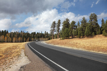 Fototapeta premium Road, autumn yellow fields and sky
