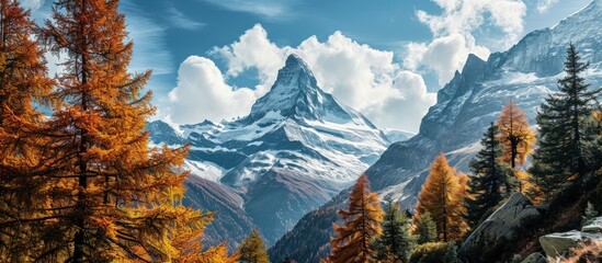 View on autumn forest snowy Matterhorn mountains and blue sky with white clouds Switzerland. Creative Banner. Copyspace image - obrazy, fototapety, plakaty