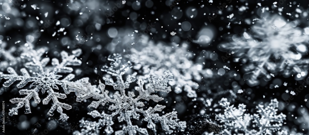 Poster snow black background abstract texture snowflakes falling in the sky overlay. Creative Banner. Copyspace image