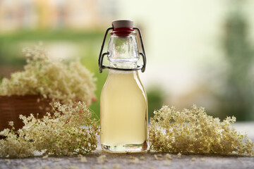 A bottle of homemade elderberry flower syrup with fresh blossoms outdoors