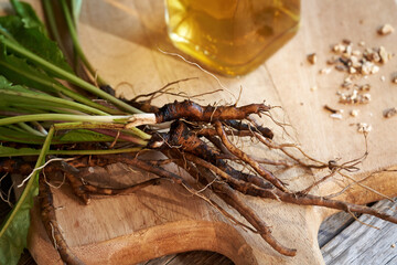 Fresh dandelion roots on a table with herbal incture in the background