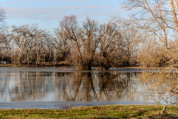 the trees on the river bank are flooded by the river