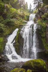 Fototapeta na wymiar Triberg Waterfalls in the Black Forest, Germany