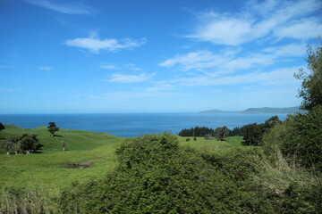 New zealand sea blue with green gras in front © LetsSeeGoodWaves