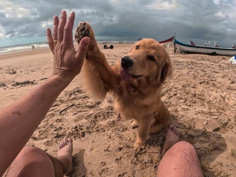 DCIM\100GOPRO\G0010217.JPG