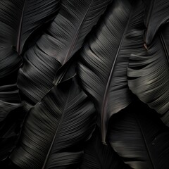 Elegance in Monochrome Feather, Plant, and Pen Background Template