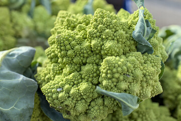 Romanesco close up detail at farmers market (Brassica oleracea, chartreuse color) fractal...