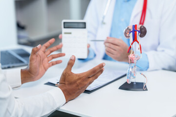 close-up of male patient consultation with doctor, explaining model of reproductive system, possibly discussing prostate cancer, cystitis, or urinary tract infection. - obrazy, fototapety, plakaty
