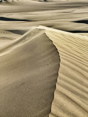 Sand Dunes At Huacachina