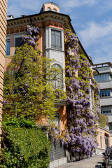 A beautiful building in Turin. Architecture. Flowers covered the building.