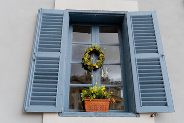 Open shutter windows of an old building. A flower in a pot stands on the windowsill.
