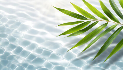 spa background banner with green bamboo leaf on white transparent water wave in sunlight, concept with copy space for travel, cosmetics and beauty care - obrazy, fototapety, plakaty