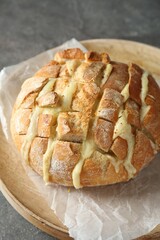 Freshly baked bread with tofu cheese on grey table
