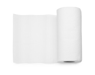 One roll of paper towels isolated on white, top view