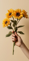Women's hand hold yellow sunflowers bouquet on beige background. Summer floral concept. © JW Studio