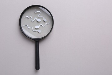 Reproductive medicine. Magnifier and sperm cells on gray background, top view with space for text
