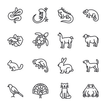 Set of animal icon for web app simple line design