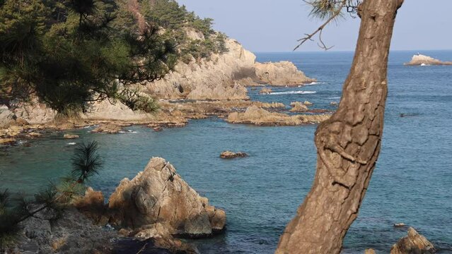 Haesindang Park, Samcheok City, South Korea - December 29, 2023: The serene beauty of the rocky coastline, adorned with pine trees in the foreground and waves splashing against the rocks.