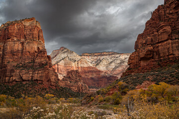 Zion National Park Mountains and River