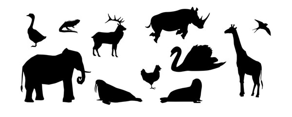 Collection of silhouettes of various types of animals. Isolated on White background