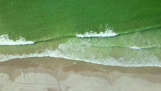 Gentle waves from aquamarine ocean break onto sandy beach, aerial top down