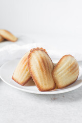 vanilla madeleines on a white plate, plain french vanilla madeleine cake or cookie