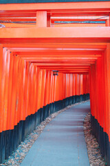 Fototapeta premium 京都の伏見稲荷大社の初詣