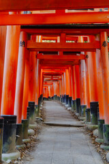 京都の伏見稲荷大社の初詣