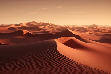 Photo sur Plexiglas Brique Desert sand dune landscape