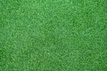 Fototapeta premium Artificial grass. Green grass texture can be use as background