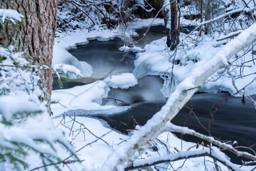 Blue hour by natural stream in the forest in Finland in winter