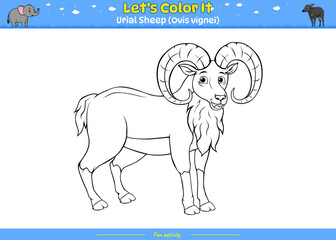 Lets color it Urial sheep