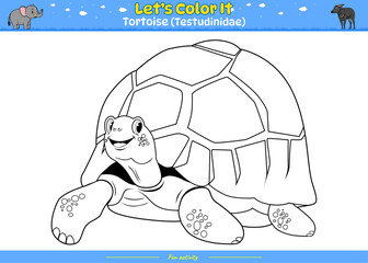 Lets color it Tortoise