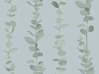 Poster Im Rahmen Foliage seamless pattern, Eucalyptus cinerea on subtle blue © momosama