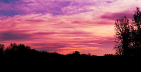 Obraz premium pink sunset 