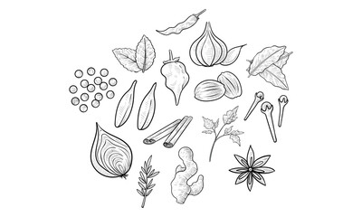 spices handdrawn collection
