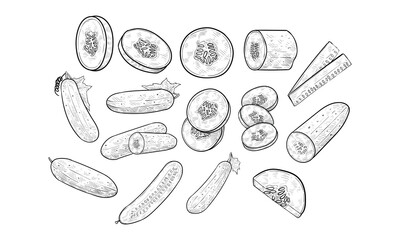cucumber handdrawn collection