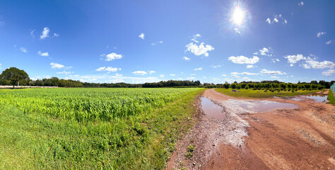 Farm landscape with road