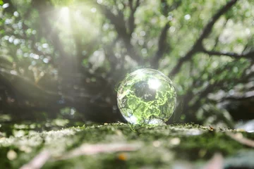 Foto auf Acrylglas environment concept Glass globe on green moss in nature © Smallroombigdream