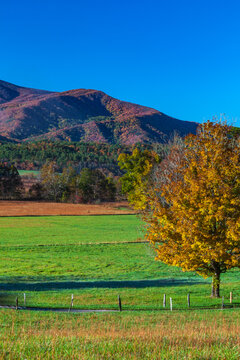 Autumn in Cades Cove, Great Smoky Mountains National Park