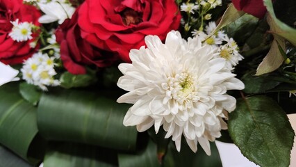 Close up shot of beautiful bouquet of white Chrysanthemum with red roses and white daisies on the background. Used for gifts or room decorations