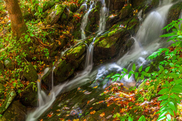 Fototapeta na wymiar Autumn Waterfall, Tremont, Great Smoky Mountains National Park