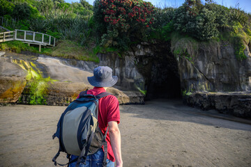 Man walking towards the entrance of Muriwai cave. Pohutukawa trees in bloom. Muriwai Beach in...