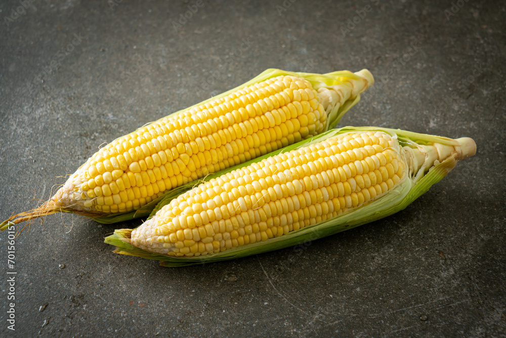 Wall mural fresh corn on dark background