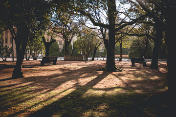Morning sunshine and forest roads in Hiroshima, Japan.