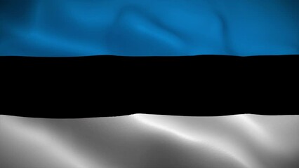 Estonia flag waving animation, perfect loop, official colors, 4K video