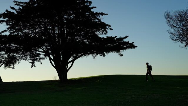 silhouette of a person walking on a meadow across a tree