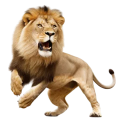 Fotobehang Transparent PNG - King of the Beasts © Eugenia